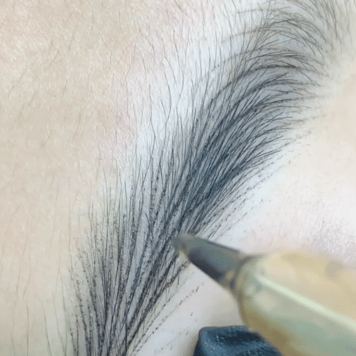 Hair Stroke Eyebrow | Trang TTBrows